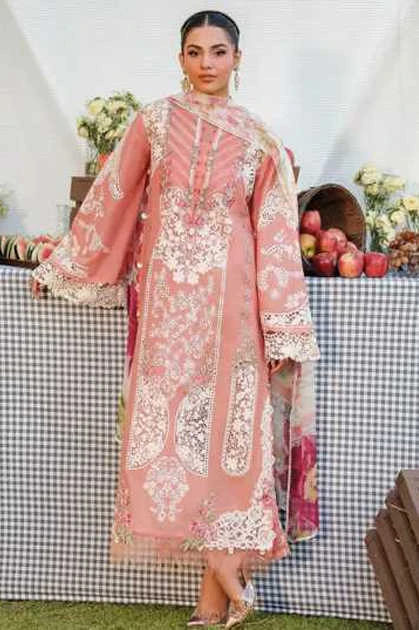 Amrutvela Elaf Cotton Salwar Suit Catalog 6 Pcs