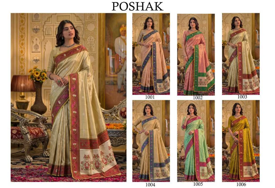 Astita Poshak Silk