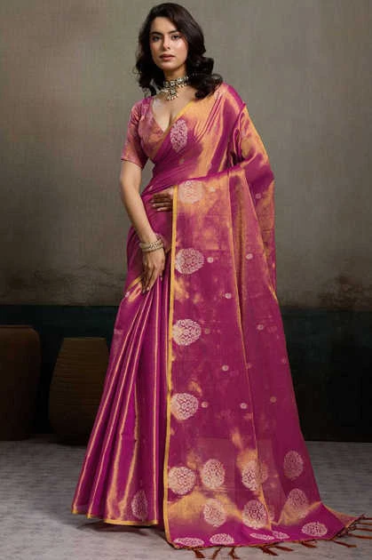 Astita Priyanshi Silk