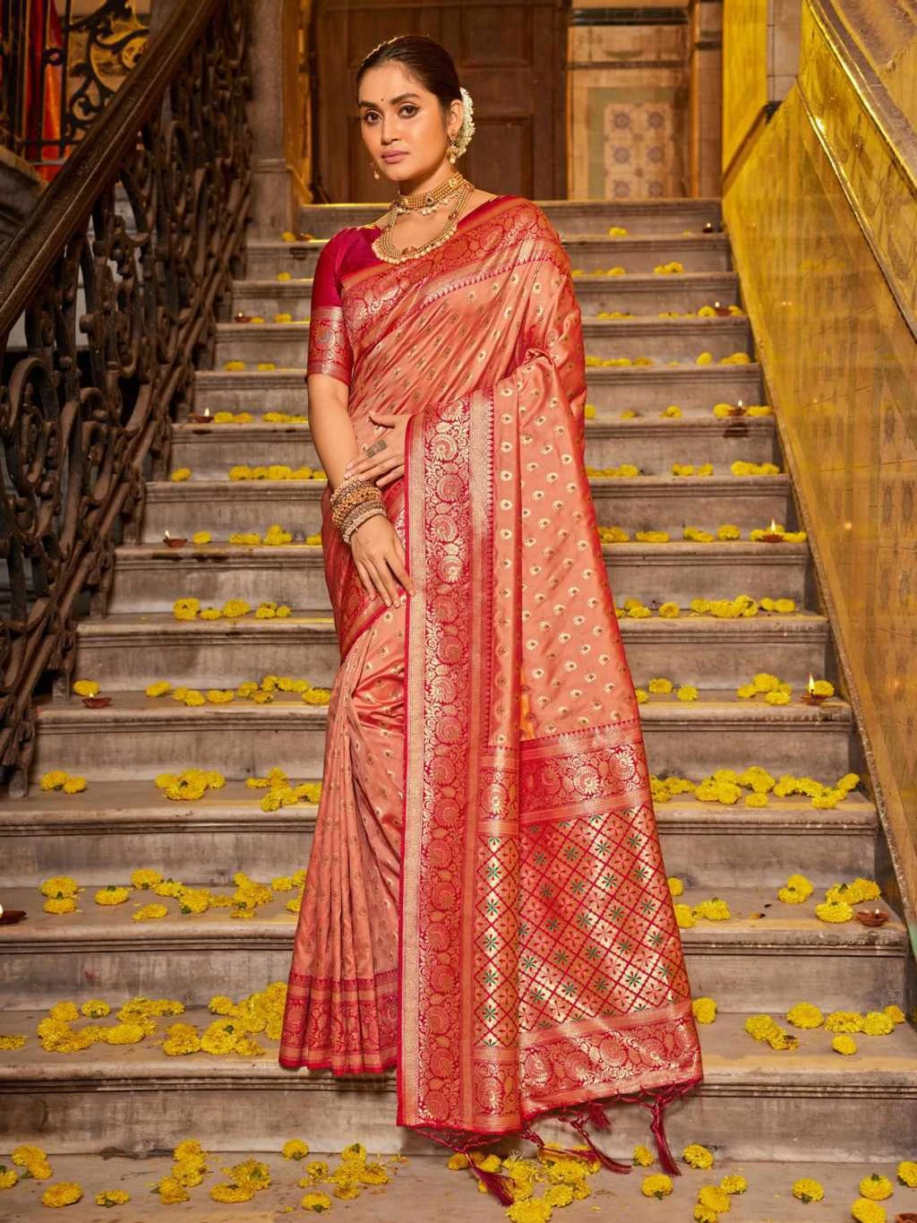 Astita Vaani Banarasi Silk